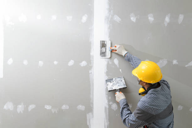 Best Custom Drywall Designs  in Dupont, PA